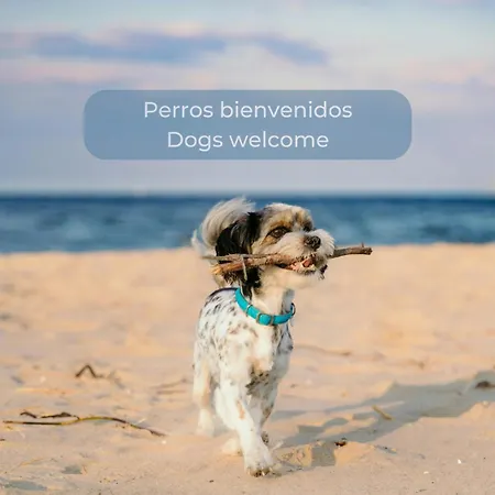 Caramel Cookie Con Piscina, Doble Terraza, Parking Y Wifi Apartment *